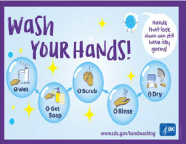 Hand Washing Techniques