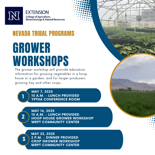 NEVADA TRIBAL PROGRAMS GROWER WORKSHOPS The grower workshop will provide education information for growing vegetables in a hoop house or a garden; and for larger producers growing hay and other crops. MAY 7, 2025 10 A.M. - LUNCH PROVIDED YPTHA CONFERENCE ROOM 2 MAY 16, 2025 10 A.M. - LUNCH PROVIDED HOOP HOUSE GROWER WORKSHOP WRPT COMMUNITY CENTER 3 MAY 23, 2025 2 P.M. - DINNER PROVIDED CROP GROWER WORKSHOP WRPT COMMUNITY CENTER