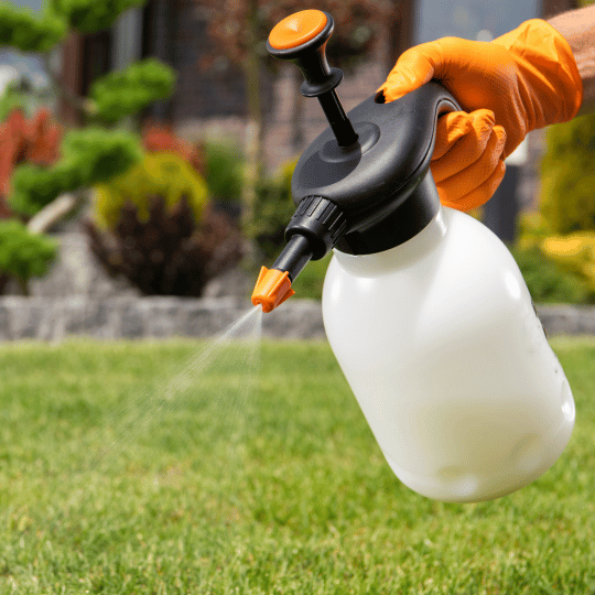 Herbicide being used in a garden