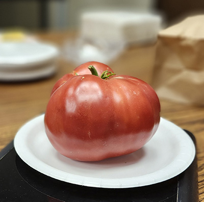 close up of a red tomato