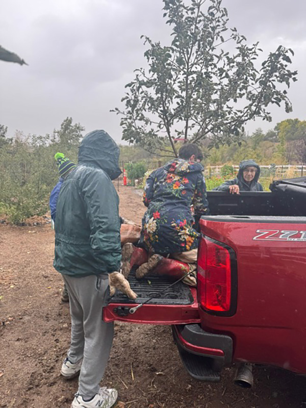 People standing next to the back of a red truck.