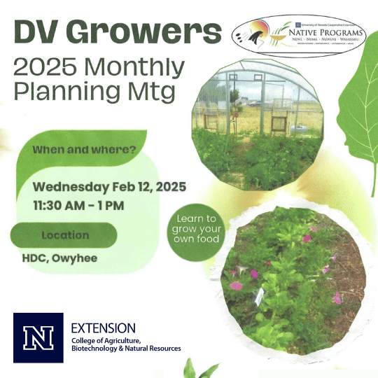 Images of agriculture with text that reads "DV Growers 2025 Monthly Planning Mtg - When and where? Wednesday Feb 12, 2025 11:30 AM - 1 PM Location HDC, Owyhee Learn to grow your own food"