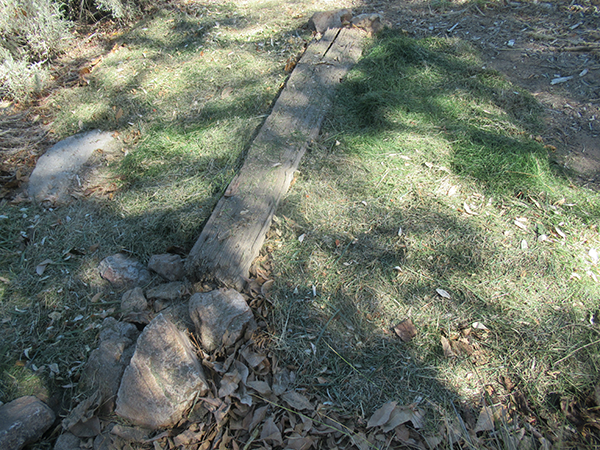 Grass with mulch on the side of it.