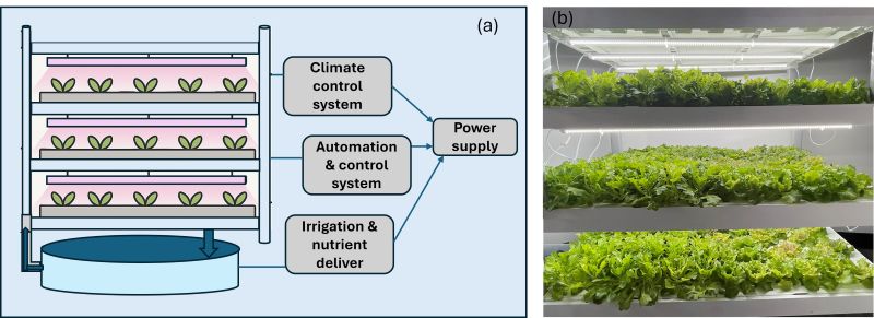 Schematic diagram of indoor vertical farming 