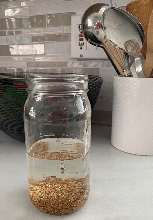 A jar of water with seeds and silver spoons in a jar.