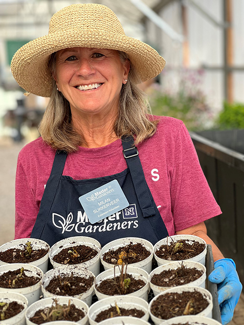 A person holding tray of plant seedlings wearing sunhat and master gardener apron.