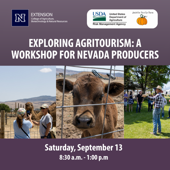 EXPLORING AGRITOURISM: A WORKSHOP FOR NEVADA PRODUCERS