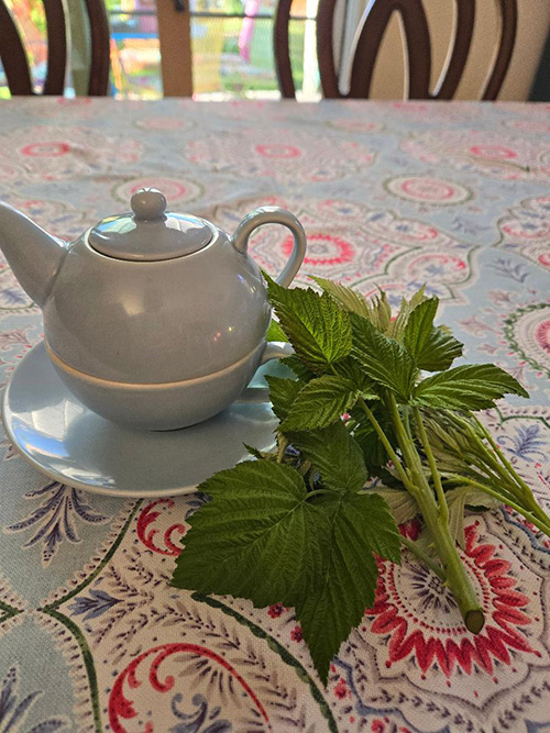 A blue tea pot next to green leaves on a table.