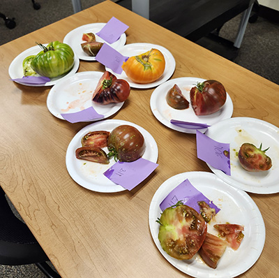 several plates of tomatoes of red, yellow, and green