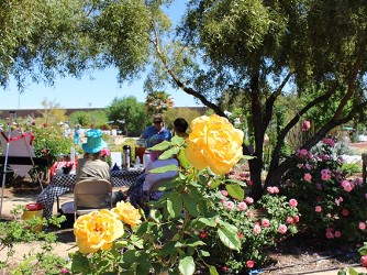 A group watches a presentation in a rose garden