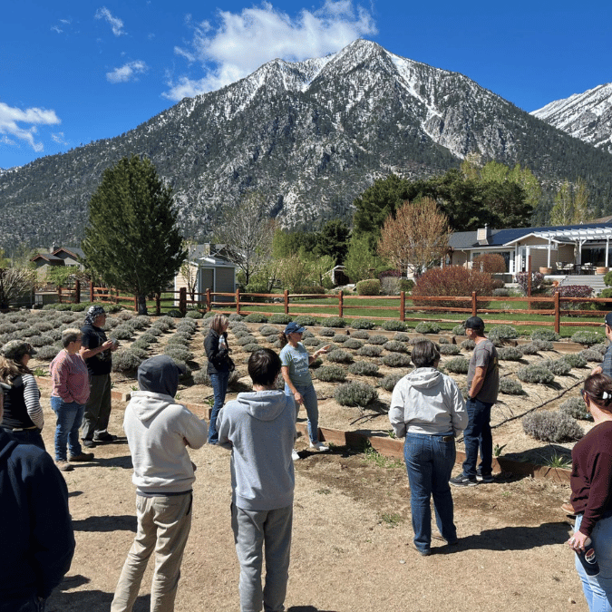 Participants in last year’s certification program for producers enjoyed a tour stop at Sierra Shadows Lavender and Honey Farm in Gardnerville.