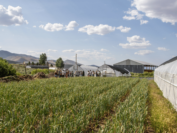 Farm with hoop house