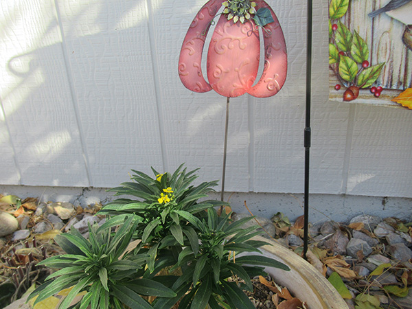 graphic of garlic and text that reads you the close of the party