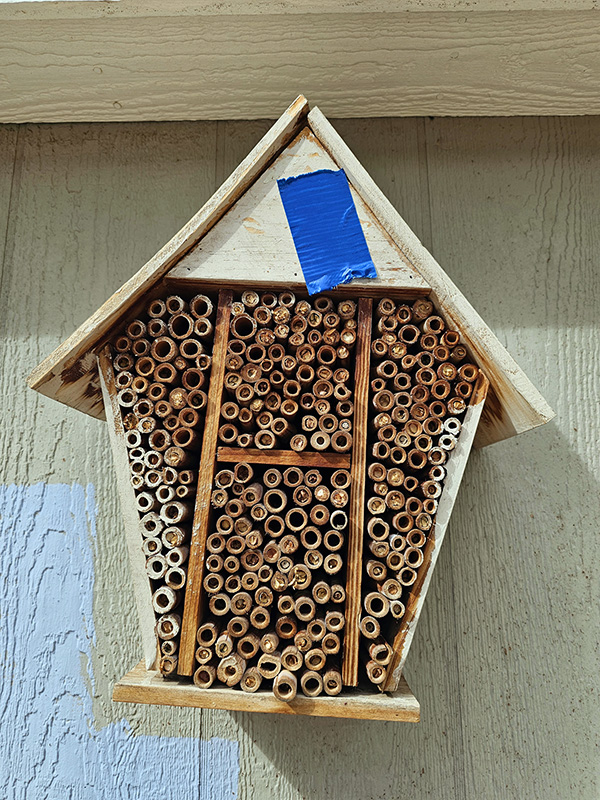 wooden house for insects
