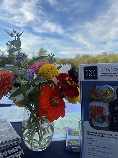 Vase with flowers next to pamphlets.