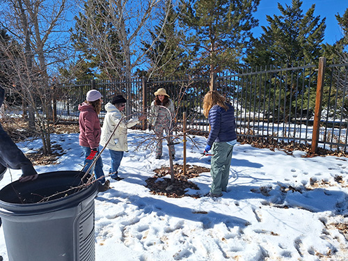 Group of people outside with snow on the ground and looking at a tree.