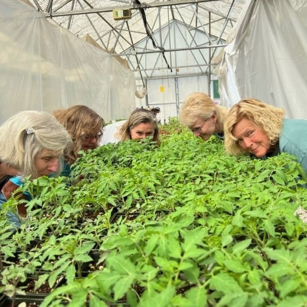 volunteers smelling plants in greenhouse