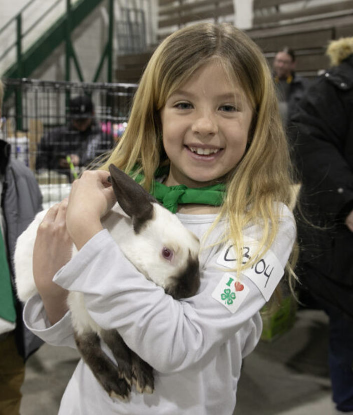 Girl holds a rabbit.