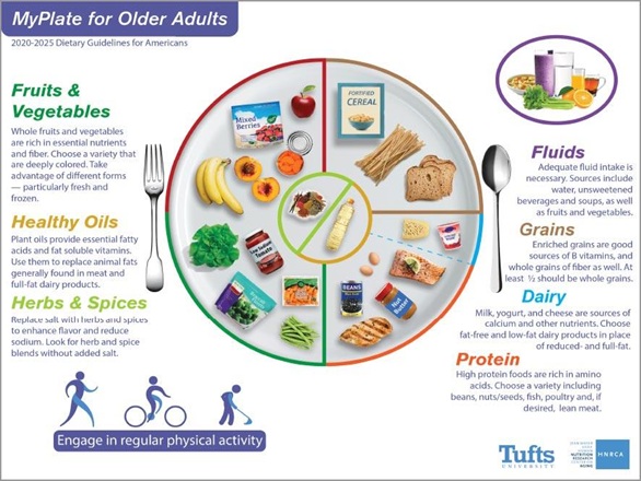 my plate for older adults logo