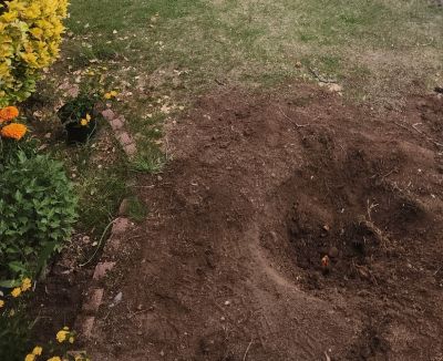A freshly dug hole in brown loose soil