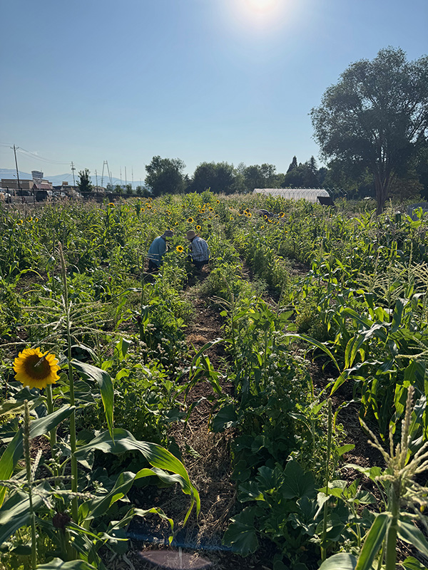 photos of a man speaking in front of a class of people.
