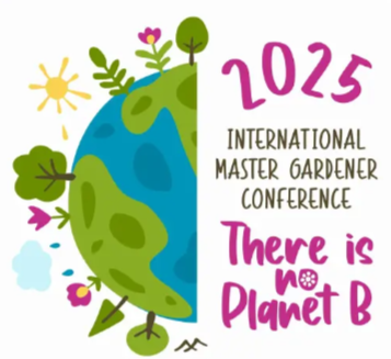IMGC 2025 Logo