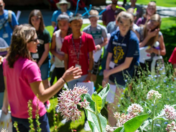 Students attend a guided tour at the Biggest Little Pollinator Garden at UNR.