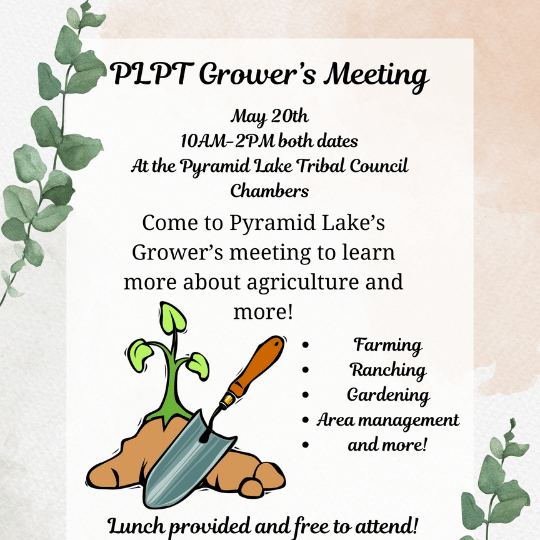 Graphic of shovel and plants with text 'P1PT Grower's Meeting May 20 10AM-2PM At the Pyramid Lake Tribal Council Chambers Come to Pyramid Lake's Grower's meeting to learn more about agriculture and more! Farming Ranching Gardening • Area management and more! Lunch provided and free to attend