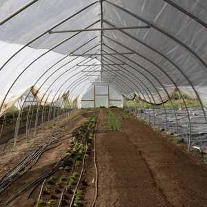Roots 2 Results Brings Farmers and Food Leaders Together in Las Vegas