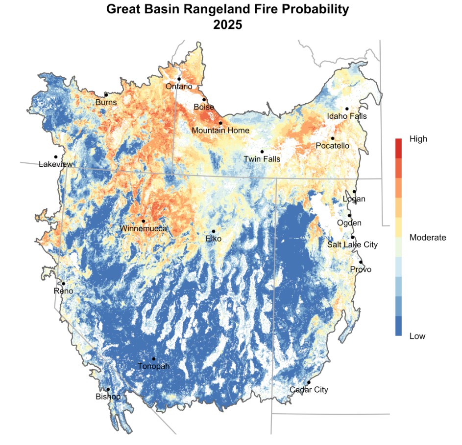 Map graphic showing "Great Basin Rangeland Fire Probability 2025" with a rating scale from Low (blue) to Moderate (yellow) to High (red). The map shows the Great Basin region ranging in colors. The southern area is more blue, and the northern area is more yellow with areas of orange and red.