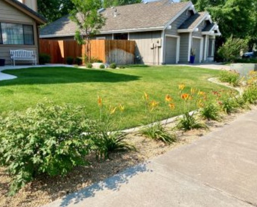 A lush lawn with a gravel buffer strip with lilies