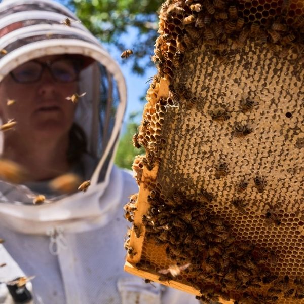 Jessica Gardner working with beehive
