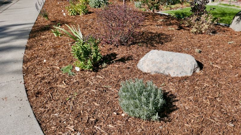 Wood bark mulch around landscape plants suppresses weeds.