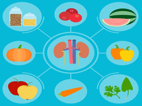 Healthy Kidney foods clipart