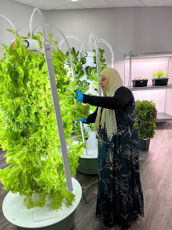 A woman touching plants growing on a lit tower garden.