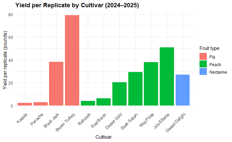 graph of yield per replicate by cultivar for 2024 - 2025