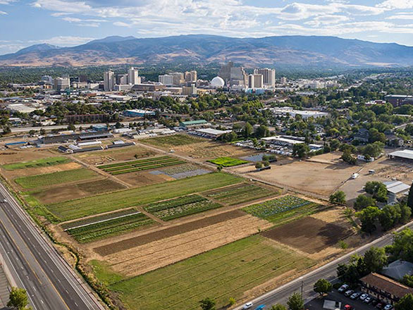 aerial view of dfi farm