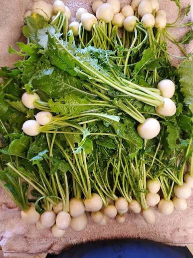 pile of radishes