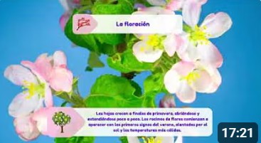 Una tarjeta de t&iacute;tulo de YouTube para un video titulado Huertos y vi&ntilde;edos