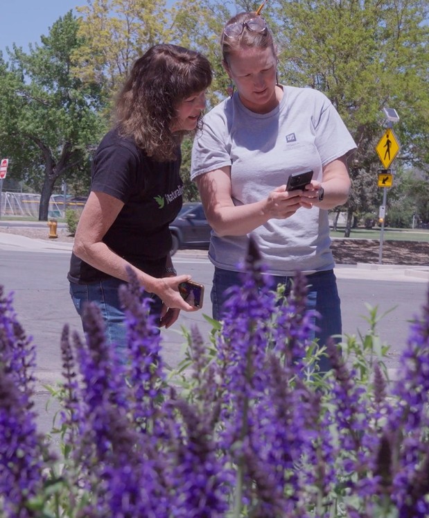Two people look at thier phone while standing near a healthy garden with a mix of plants.