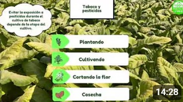 Una tarjeta de t&iacute;tulo para un video de YouTube llamado "Tabaco"