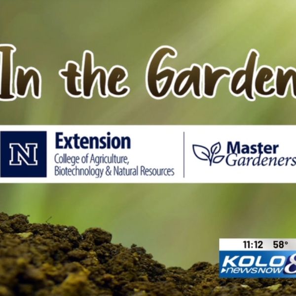 Image of the KOLO News "In the garden" segment opener