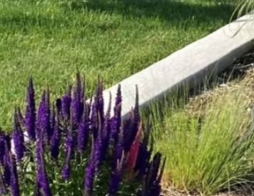 El borde de un jard&iacute;n de c&eacute;sped con el borde de flores