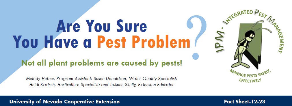A graphic with blue and white shapes, a bee logo and text that reads "Are you sure you have a pest problem?"