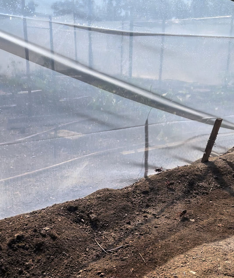 close up of plastic covering over dirt.