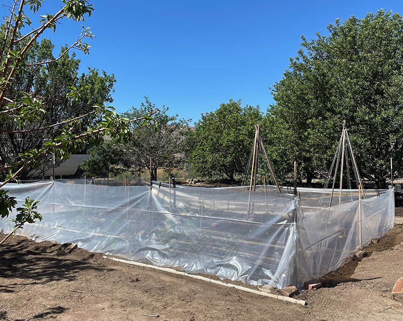 garden area with plastic surrounding it and trees in background