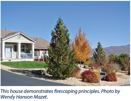 Photo of a house with trees and landscaping that demonstrate firescaping principles.