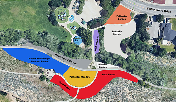 Color coded map of Valley Wood Park. Colors blue, yellow, red, purple. white and orange. Text reads: Native and drought tolerant plants, pollinator meadow, food forests, butterfly garden, herb meadow, Valley Wood Drive