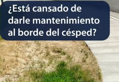 El borde de un jard&iacute;n de c&eacute;sped con el texto que dice: &iquest;Est&aacute;s cansado de mantener el borde de tu c&eacute;sped?