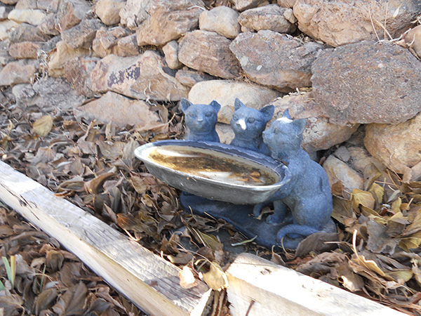 Garden statue of three gray cats on a bunch of dry brown leaves and rocks in the background